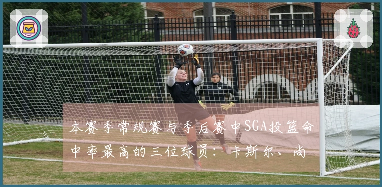 本赛季常规赛与季后赛中SGA投篮命中率最高的三位球员：卡斯尔、尚帕尼、兰德尔